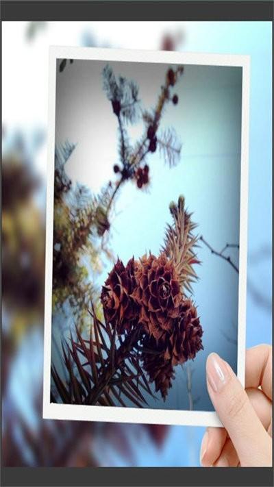 趣拍玩图照相机最新版下载,趣拍玩图照相机,自拍app,编辑app