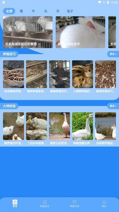 养殖星小课堂app下载,养殖星小课堂,养殖app,学习app